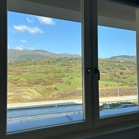 Apartment Saray